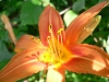 2008-07-01 019.jpg